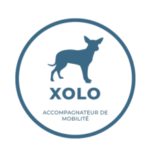 xolo_logo