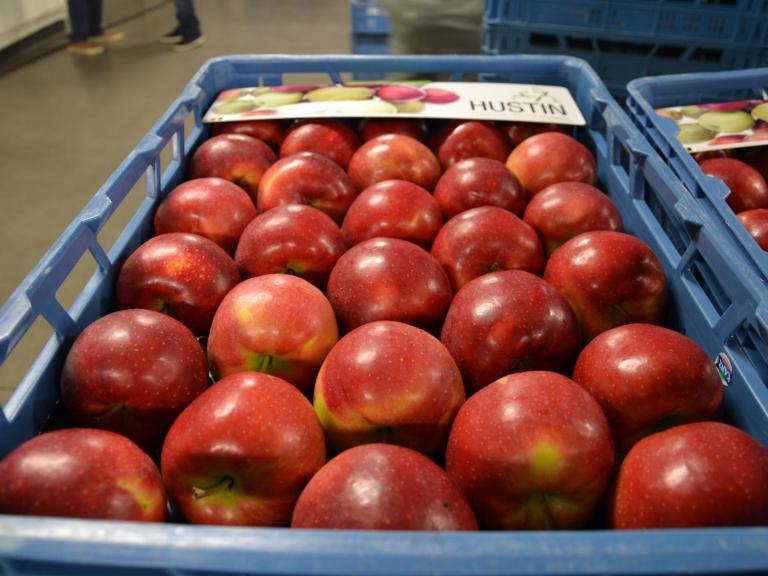 Place des saveurs - Edition 3